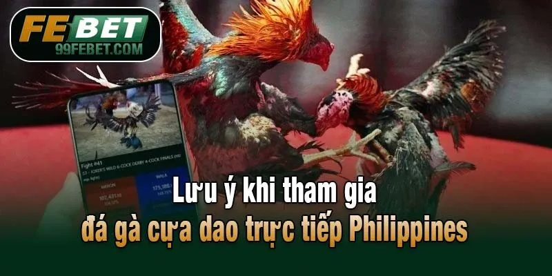 Lưu ý khi tham gia đá gà cựa dao trực tiếp Philippines