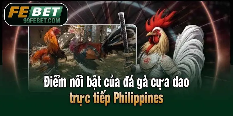Điểm nổi bật của đá gà cựa dao trực tiếp Philippines