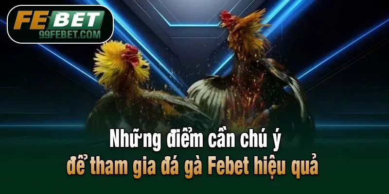 Những điểm cần chú ý để tham gia đá gà Febet hiệu quả