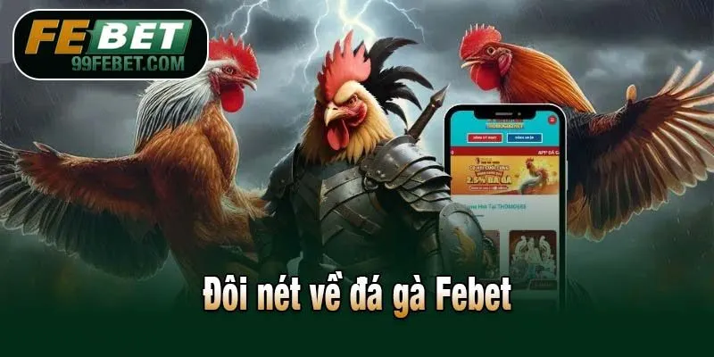 Đôi nét về đá gà Febet