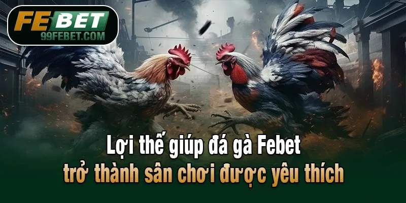 Lợi thế giúp đá gà Febet trở thành sân chơi được yêu thích