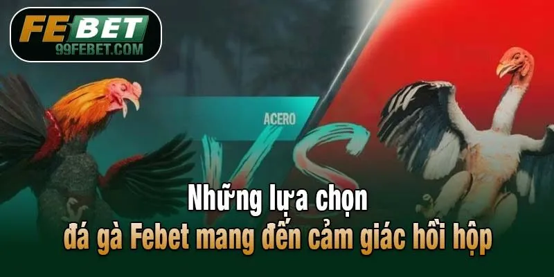 Những lựa chọn đá gà Febet mang đến cảm giác hồi hộp