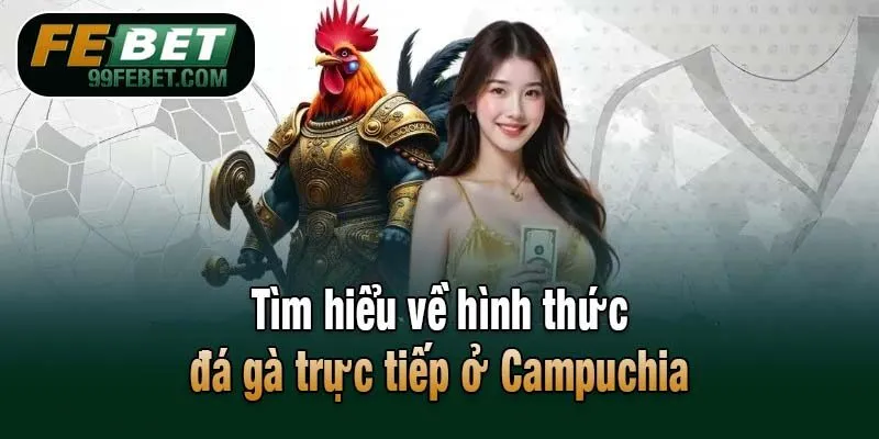 Tìm hiểu về luật đá gà trực tiếp ở Campuchia tại Febet