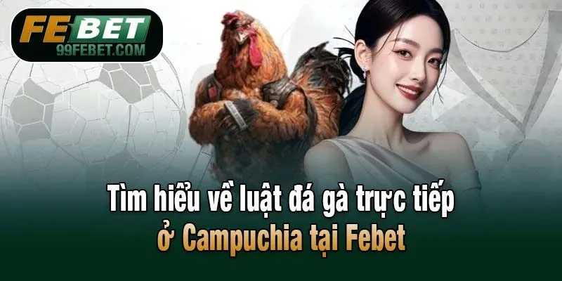 Tìm hiểu về hình thức đá gà trực tiếp ở Campuchia